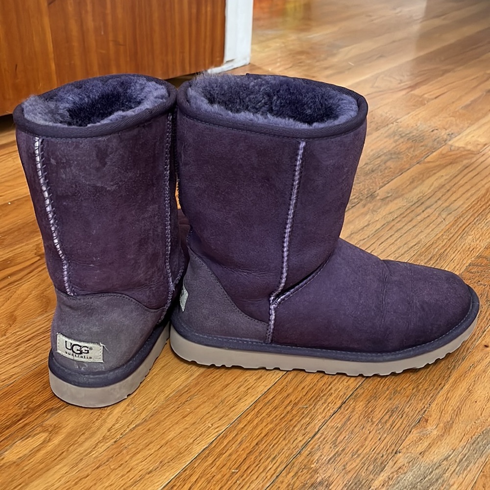 Purple Classic Short UGG Boots